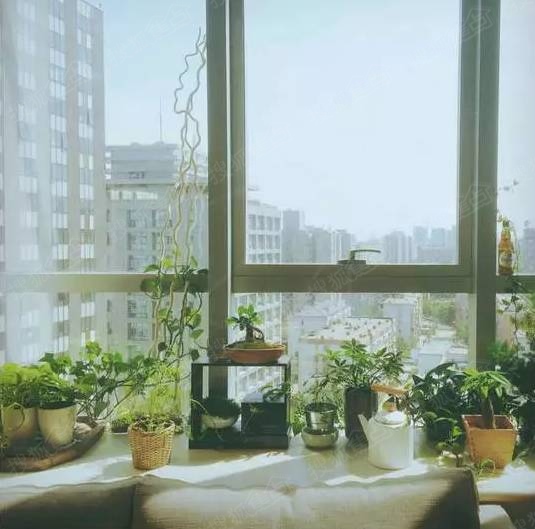 昆明装修——90后做了个飘窗小花园,你还在盯着你家窗台发呆?