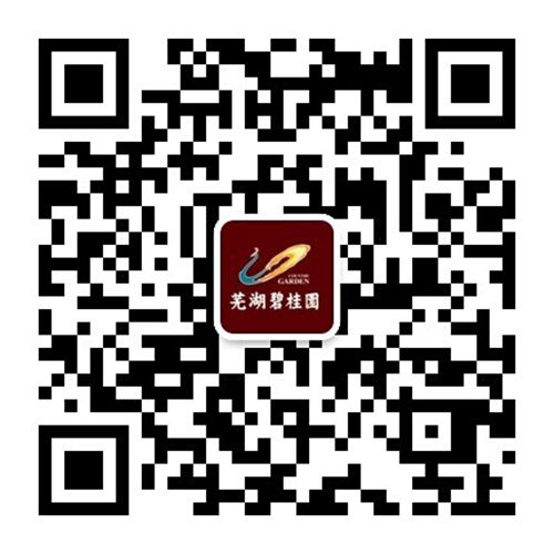迪拜人均月收入_芜湖月收入
