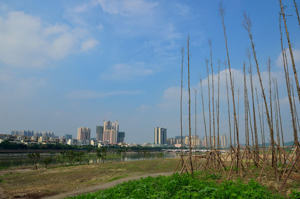 眉山市区人口_新版眉山城市规划出炉 买房人你看清了吗(3)