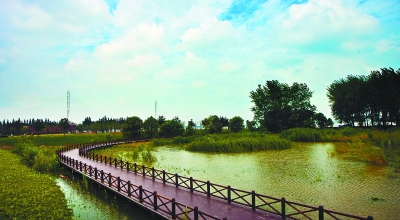 鱼嘴湿地公园位于河西新城最南端,长江,夹江和秦淮河三水交汇处,总