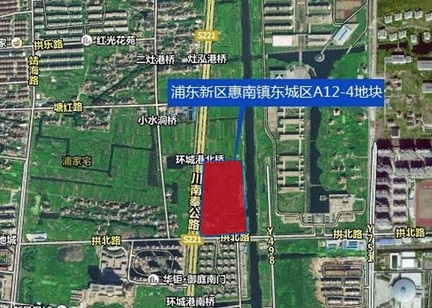 浦东新区惠南镇东城区a12-4地块