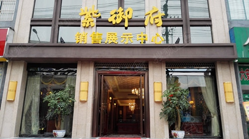 紫御府:全城vip卡预约派发中 三栋住宅首发