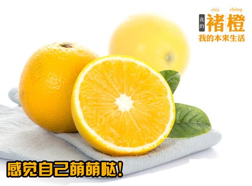 褚橙就是这么diao