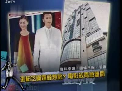 张柏芝大谈炒房经 混血母亲首见"亲家"