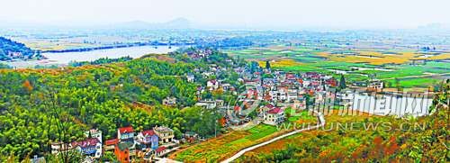 三山区强家庄全貌