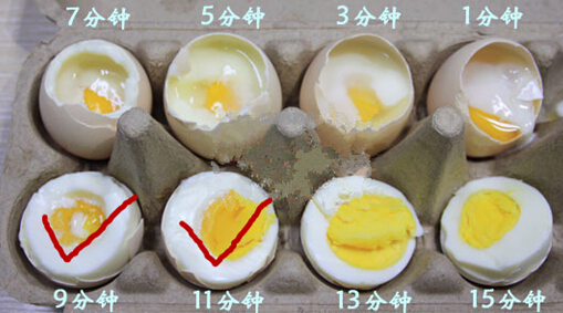 煮鸡蛋到底需要多长时间呢?