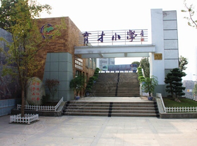 双山小学,大渡口实验小学,大渡口育才小学,重庆市第37中学校等名校