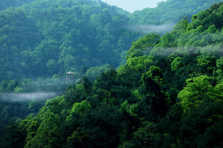 穹顶之下 歌乐山奇峰云邸的负氧之旅-房产新闻-重庆