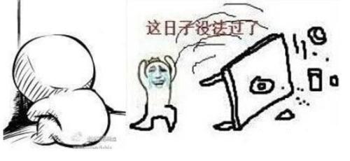 快手张二嫂收入_房嫂收入(3)