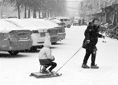 11月24日，省会一名老人做成简易雪车，让孩子坐在上面在雪中穿行。当日，省城再次迎来一场冬雪。（图片来源：河北日报）