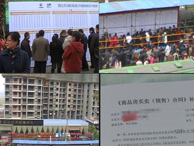 重庆小伙养殖青蛙_重庆统计局养殖收入