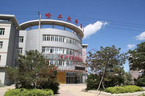 哈工大华德学院