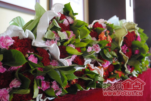 怒放的鲜花 怒放的鲜花