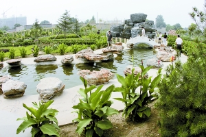 高阳县新建成的街边小型游园，树木、山石、流水形成的那份静谧让整日置身于城市繁华的人们流连其中，不忍离去。