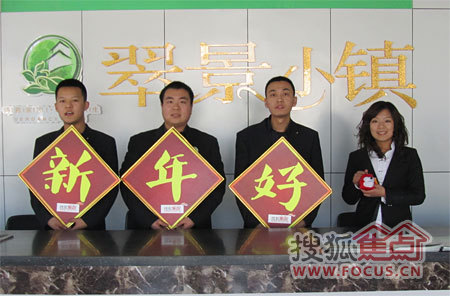置业顾问_保定置业顾问收入(2)