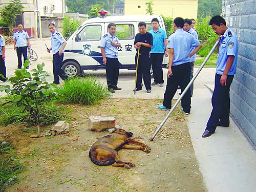 辛集外来人口_辛集农民画(3)