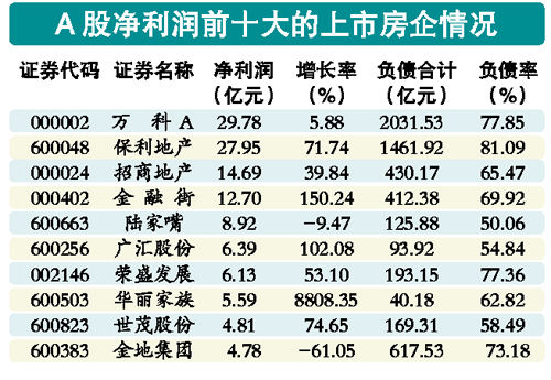 十大房企利润