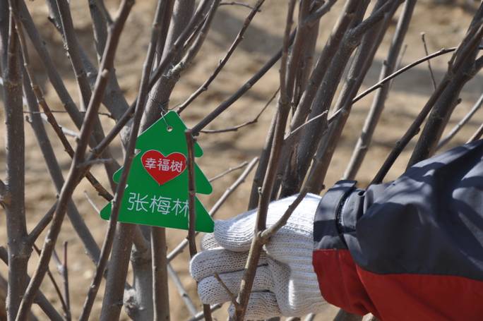 策划人员特地为业主准备的爱心树牌