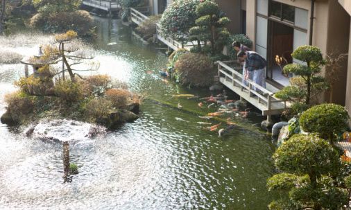 家居风水揭秘 小区风水池影响运势(组图)