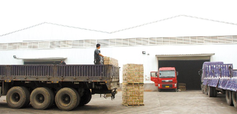 图为在当阳某外墙砖生产企业的仓库前，几辆大卡车正在装货。