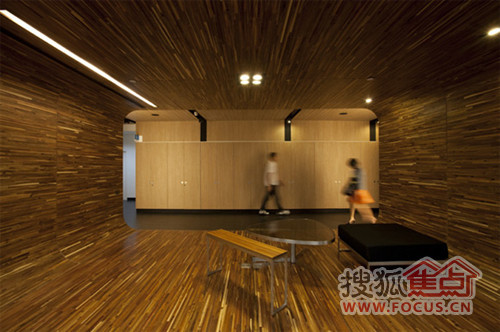 全木制材料装修 打造大自然办公室设计