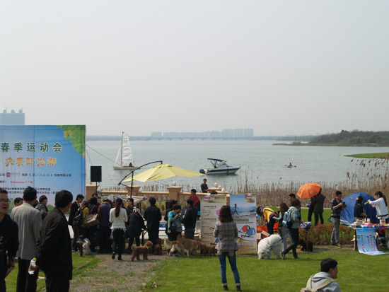 卧龙湖里游弋的帆船、游艇和皮划艇 卧龙湖里游弋的帆船、游艇和皮划艇