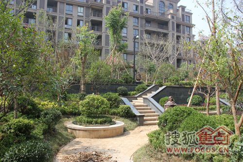 绿化实景 绿化实景
