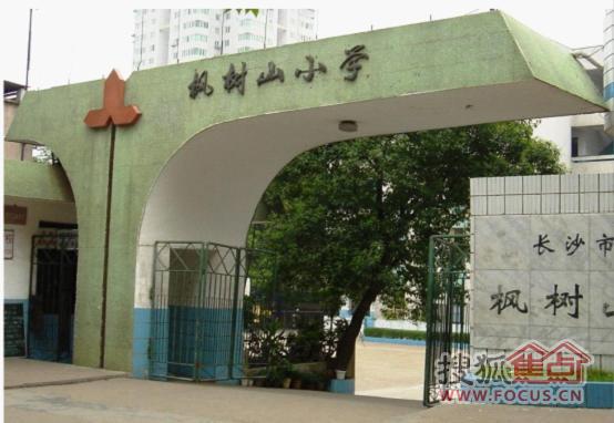 拥有超过60年的办学历史的枫树山小学,作为长沙的传统名校,其师资力量