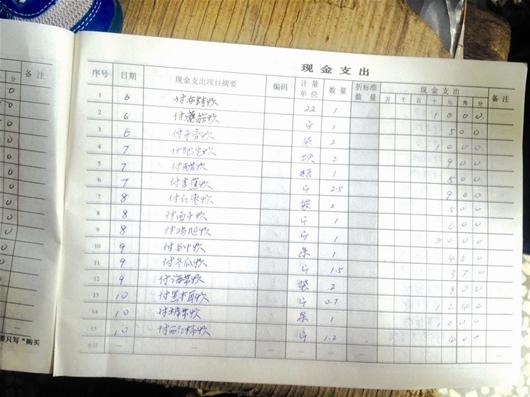 收入证明_农民收入 统计数据(2)