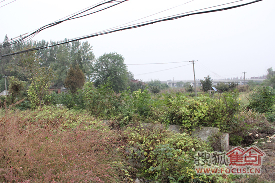 江心洲地块现状