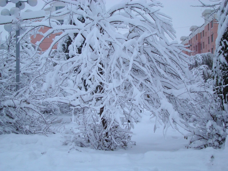 实拍北方今年大雪