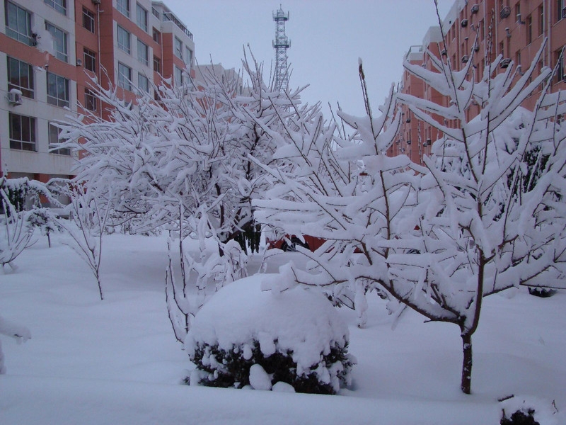 实拍北方今年大雪