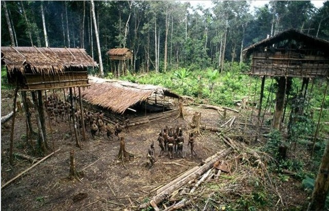 新几内亚原始部落"树屋人"生活