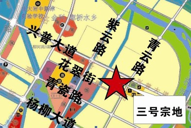 竞得者:信诚(28号竞买人 二号宗地:新津县花源镇杨柳村(兴普