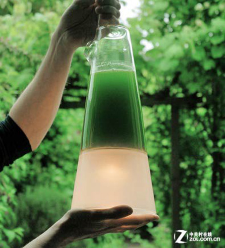 拉托恩灯利用藻类提供照明