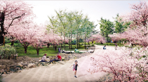 ����·�����ֵؽ��ɺ�Ч��ͼ