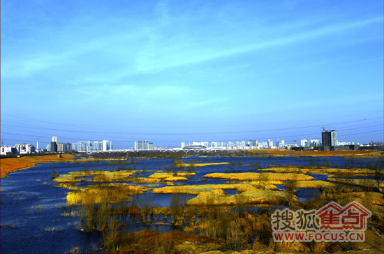 如果说伊河与湿地公园是龙门一号外部生态养生的天然屏障,那么其独