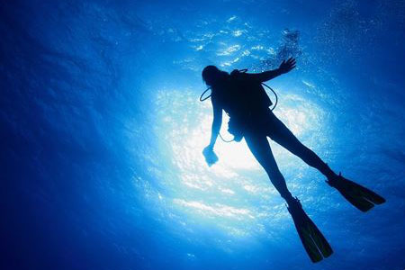 【运动】爱上减压运动 走进神奇的潜水世界
