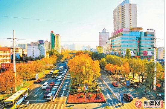 乌鲁木齐北京路绿树成荫 乌鲁木齐北京路绿树成荫