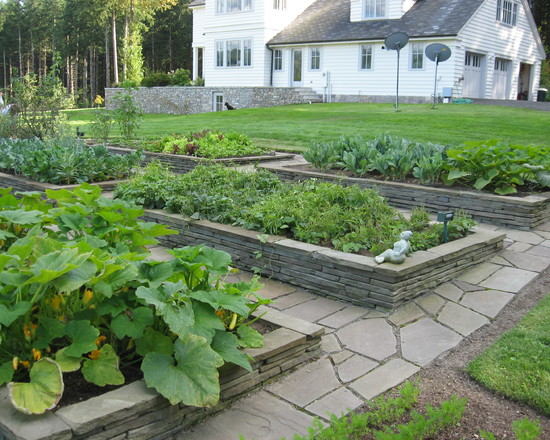花园变身菜园 14款家庭小菜园赏析