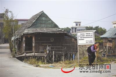 寮屋人口_导入的人口主要来自原有新界寮屋的居民,以及九龙半岛与港岛的居民