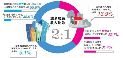收入支出账目表格图_居民收入和食品支出