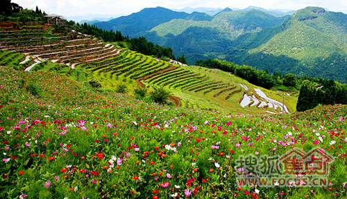 云顶风景区