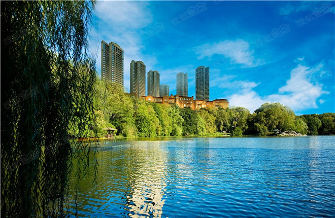 中加水岸
