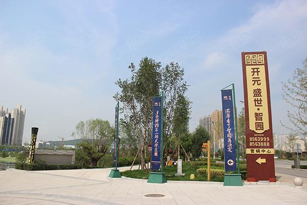 开元盛世 智园 对花园的真爱 多迟都不算晚高清图片