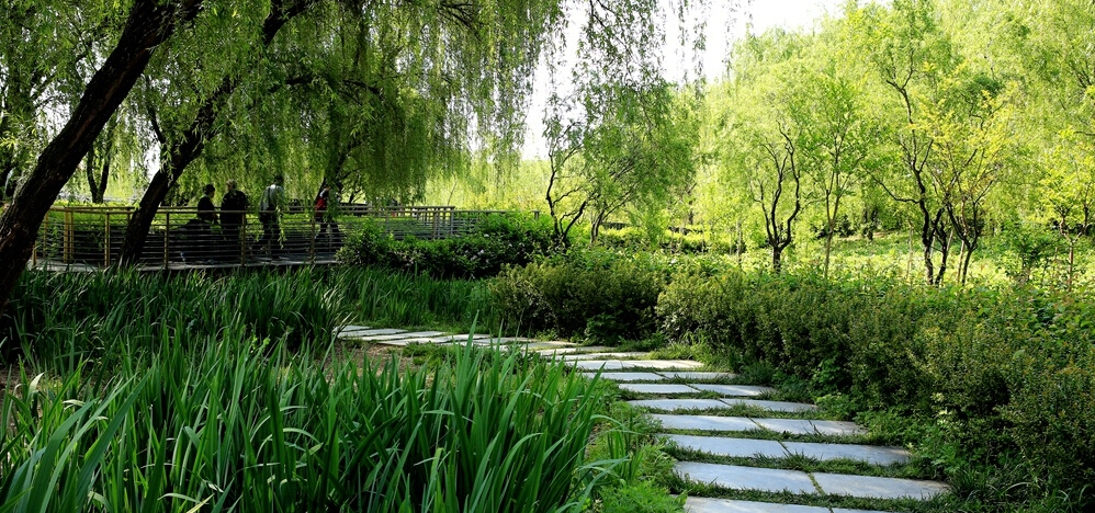 生态经济绿动西安 灞桥生态湿地公园成旅游新名片