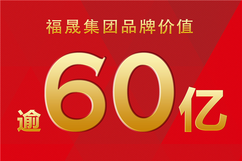 福晟地产排名_阜阳同晟地产开业活动(2)