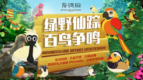"鸟的天堂"空降柯桥