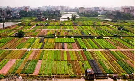 一户人口宅基地面积_房产证上有宅基地面积