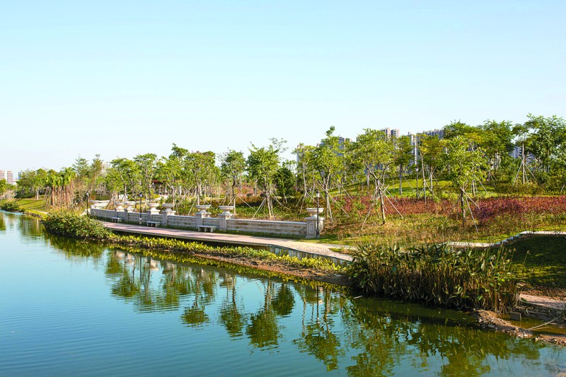 三水区北江凤凰公园,大棉涌岸边树木错落有致,水中倒影也别具韵味.